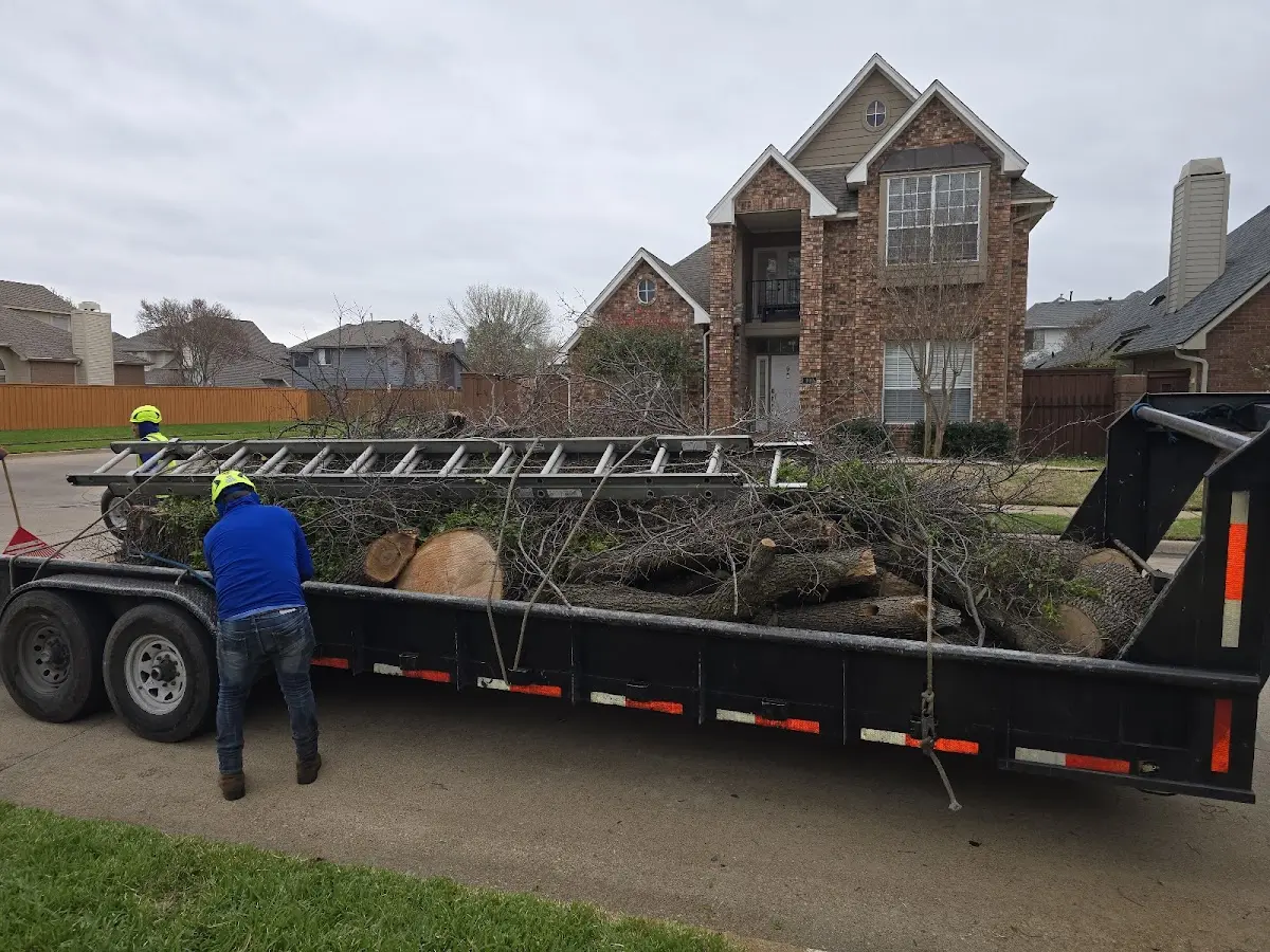Expert Crown Reduction with proper safety equipment in Mill Spring
